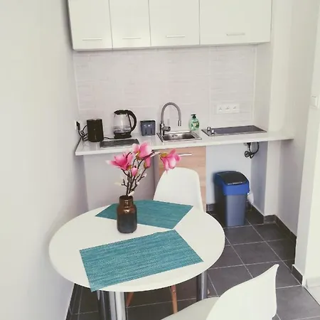 Appartement Centrum - 1 Maja 16 Zabrze